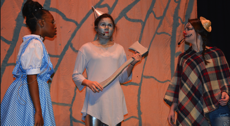 RRMS MidStage Mustangs production RRMS MidStage Mustangs production